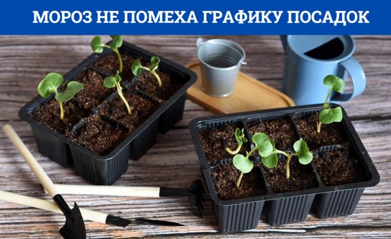 НЕ ОПОЗДАЙ С ПОСЕВОМ!