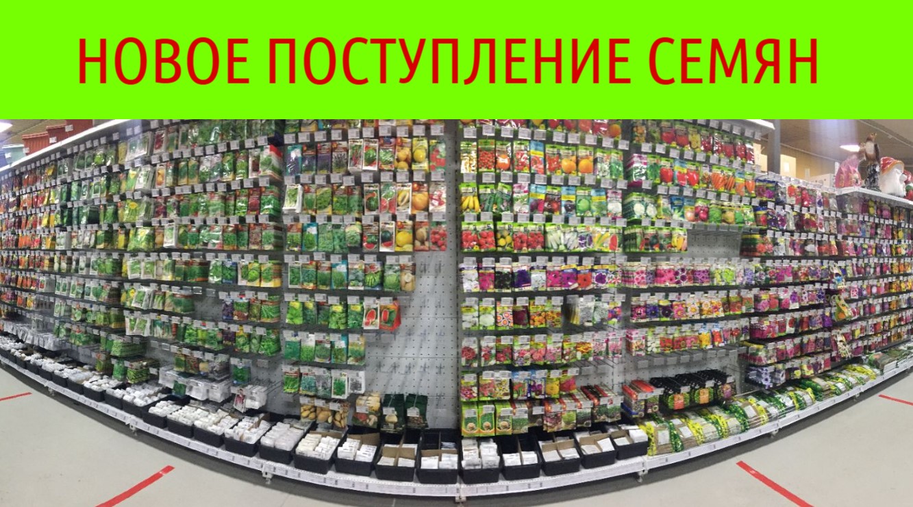 Новое поступление семян