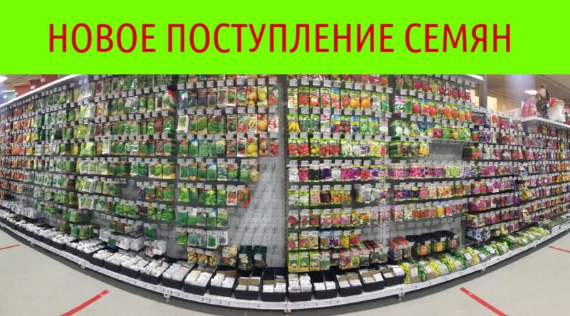 Новое поступление семян
