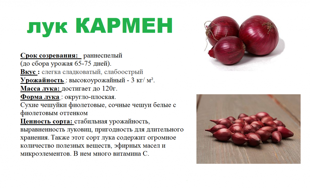 КАРМЕН.png